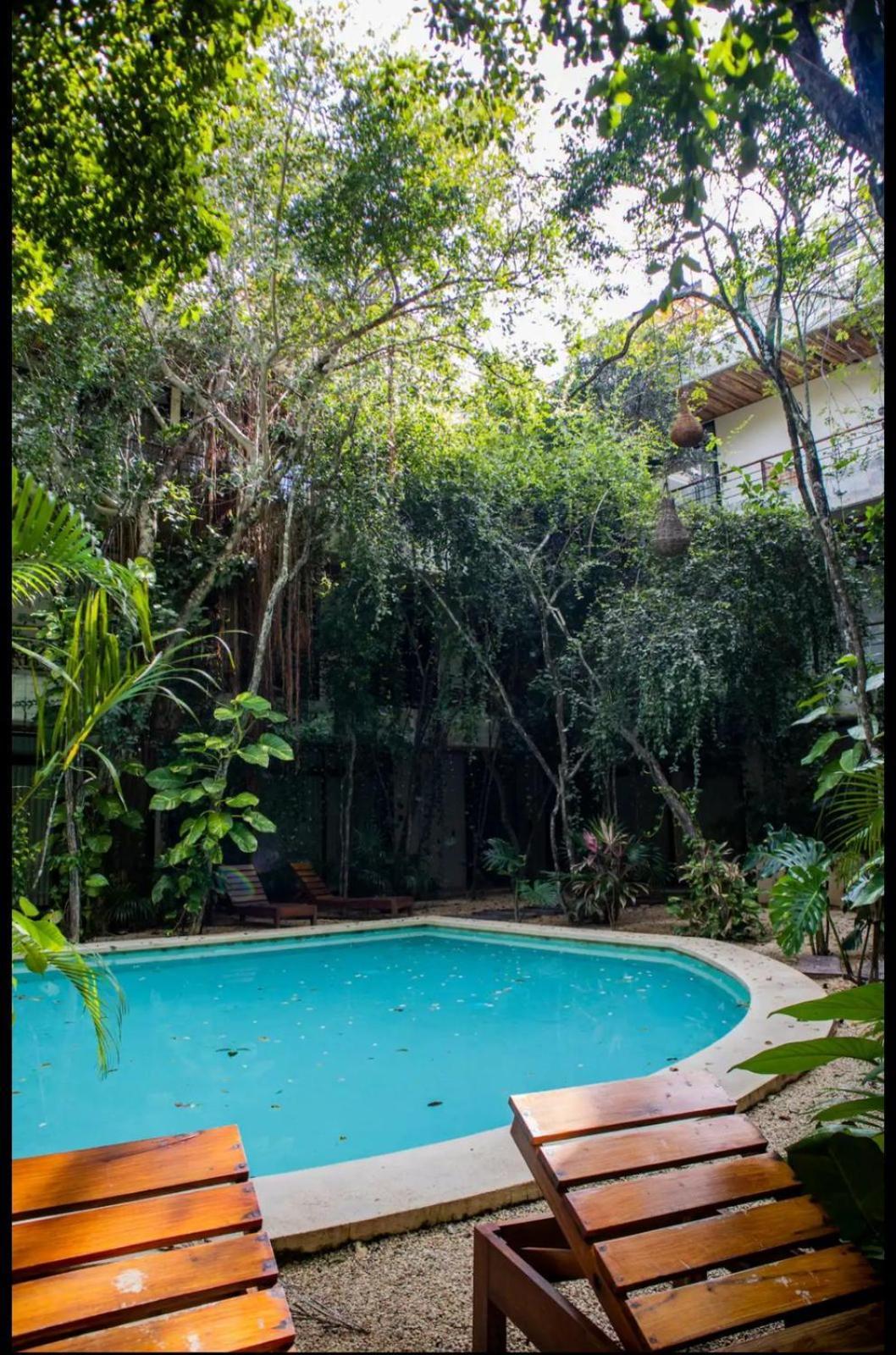 Refugio Armonia Con Piscina Privada - Harmony Retreat With Private Pool