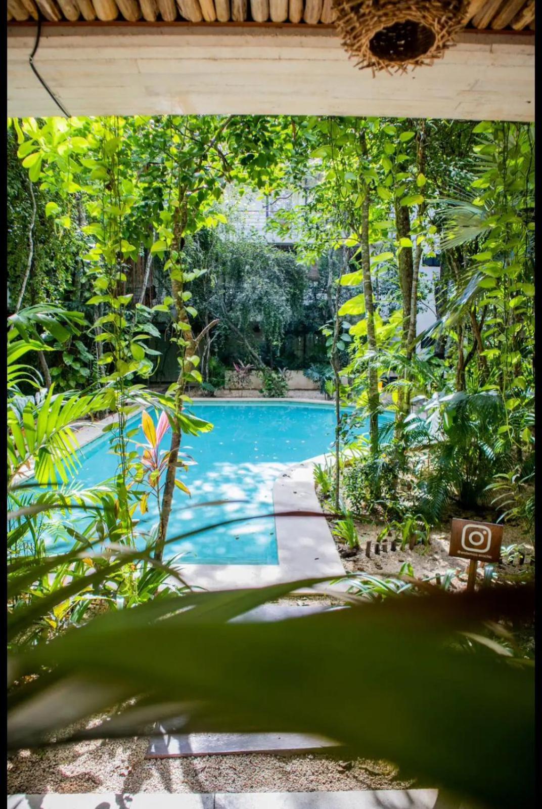 Refugio Armonia Con Piscina Privada - Harmony Retreat With Private Pool Apartment